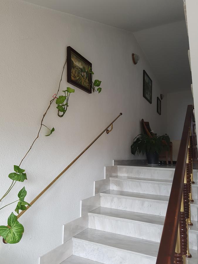 Hotel Mishel Kocherinovo Zewnętrze zdjęcie